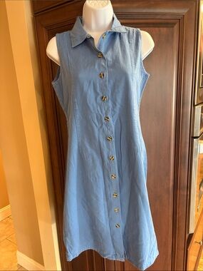 Stephanie Rogers Sky Blue Sleeveless Button-Down A-Line Dress